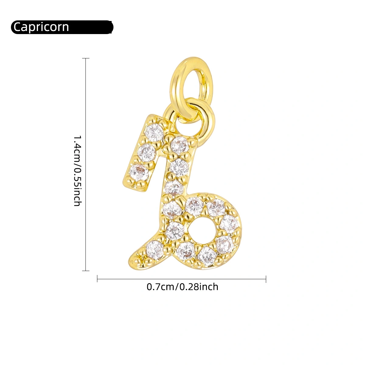 Capricorn
